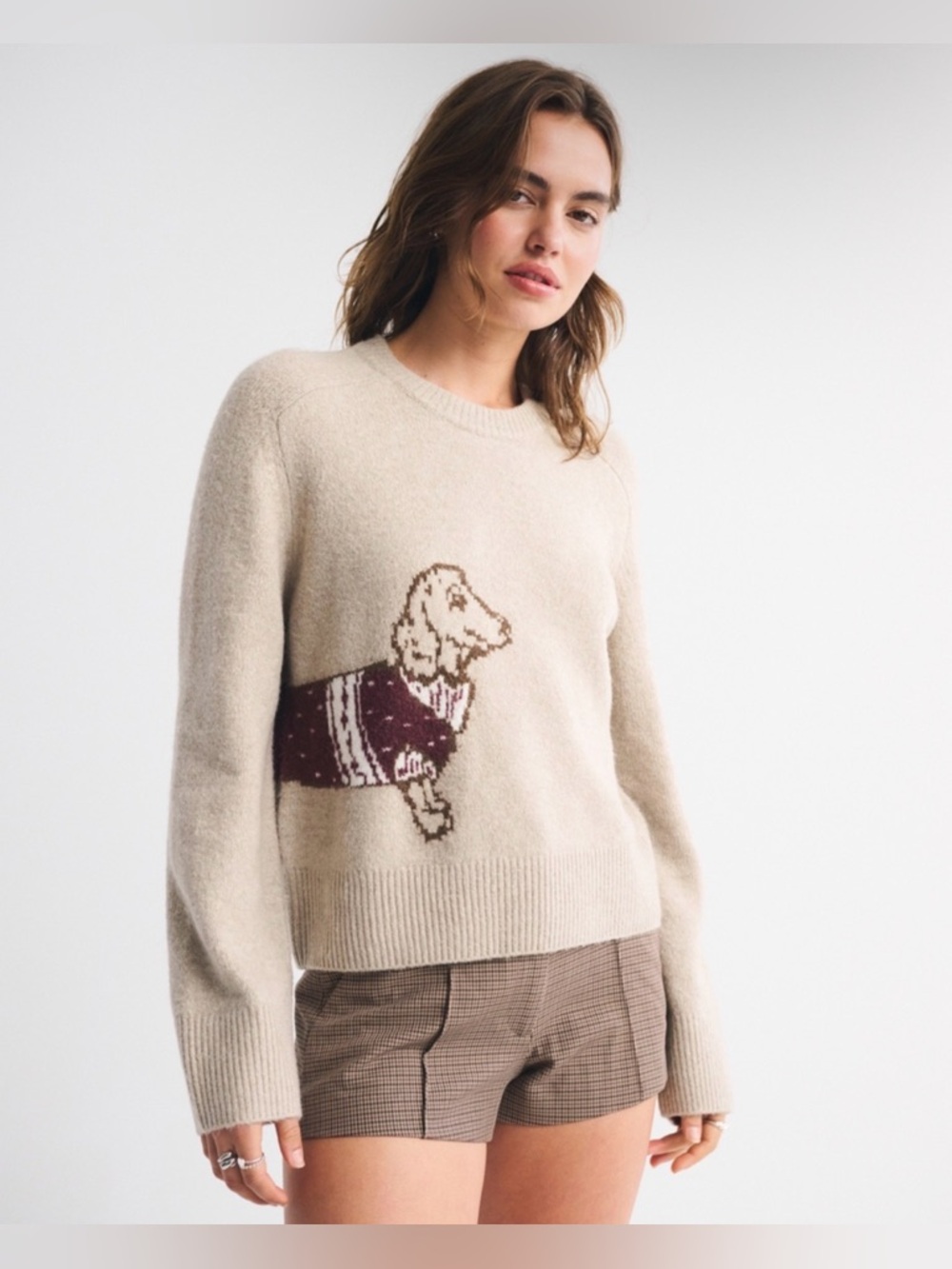 Abercrombie & Fitch Crewneck Dachshund Sweater